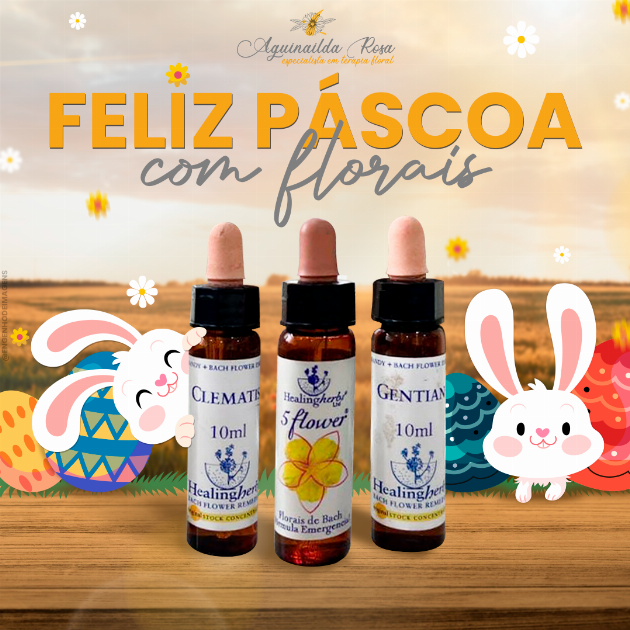 Nesta Páscoa, cuide da saúde e do bem-estar com os poderosos florais.