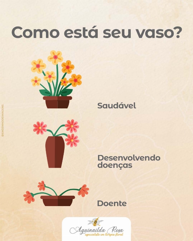 Cultivando o jardim da saúde emocional