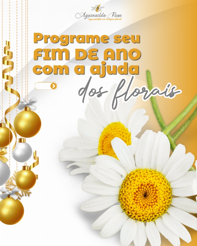 Faça uso das essências florais para programar seu fim de ano.