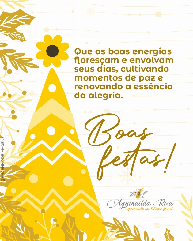 Boas festas!!