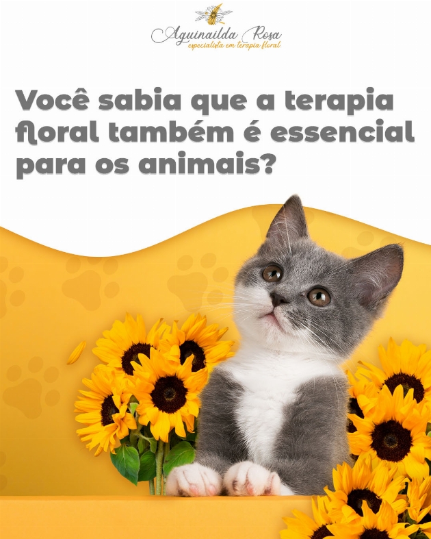 Bem-Estar Florido para Seus Amigos de Quatro Patas.