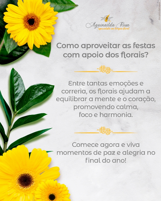 Como aproveitar as festas de fim de ano com o apoio dos florais? 