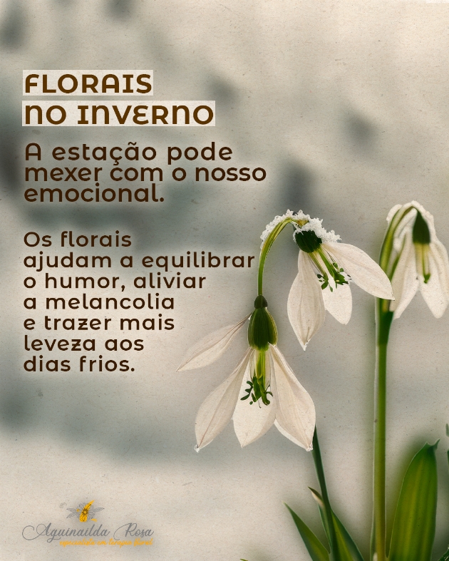  O inverno toca a alma.