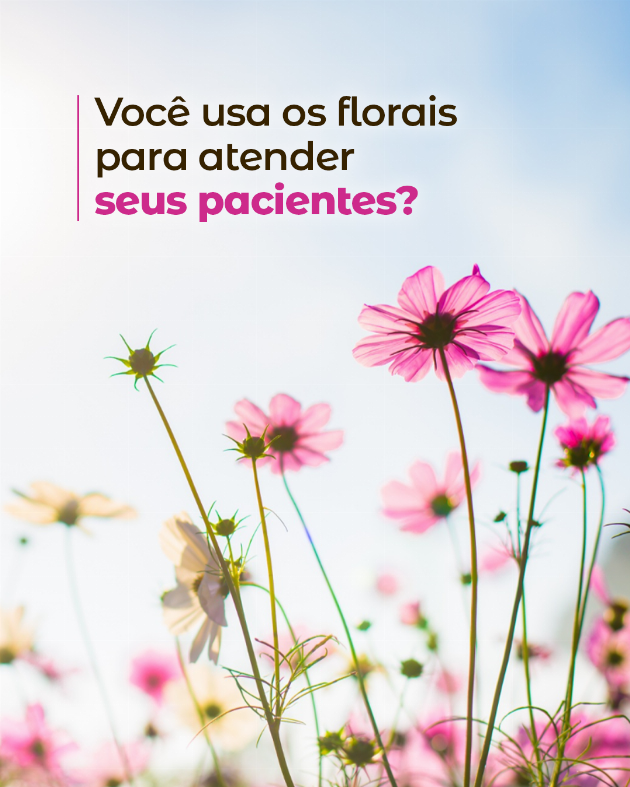 Você já percebeu como cuidar do outro exige muito da nossa energia?
