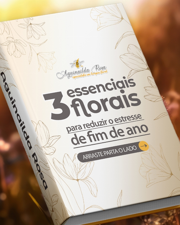 O fim de ano chegou e junto com ele aquela mistura de correria...